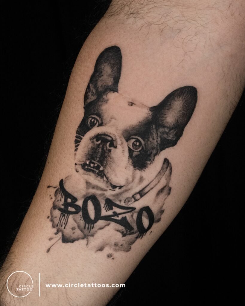 Realistic French Bull Dog Tattoo on Hand - Black and White Style
