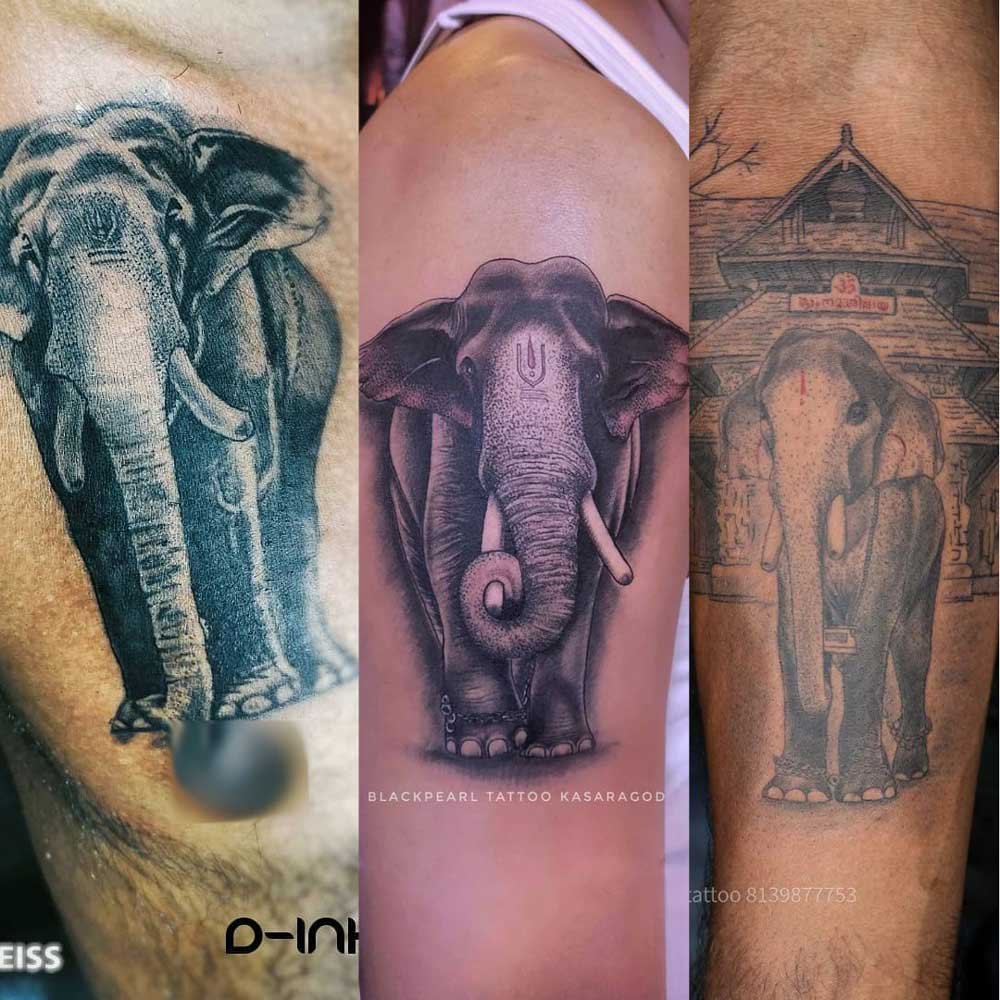 Kerala Elephant Tattoo Design Ideas Collections