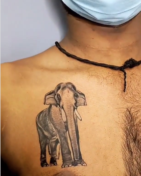 Mangalamkunnu Karnan Elephant Tattoo on Chest 