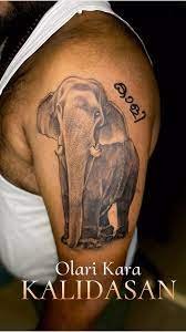 Olarikara Kalidasan Elephant Tattoo Design on Upper Arms