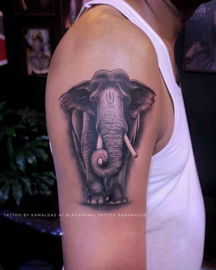 Kerala Elephant Pambadi Rajan Tattoo Design on Upper Arms